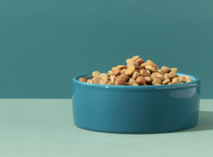 PROFECO revela la mejor croqueta barata y nutritiva para tu perro